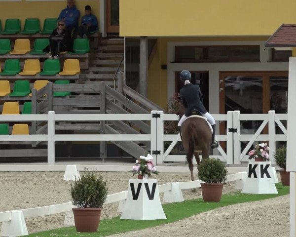FEI Reitturnier St. Margarethen (AUT) 2022