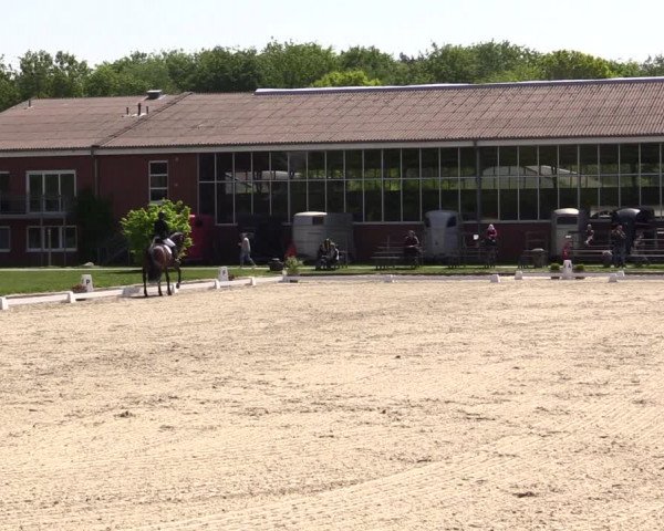Reitturnier Langenfeld - Gut Langfort 2022
