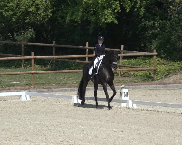 FEI Reitturnier Troisdorf (GER) 2022