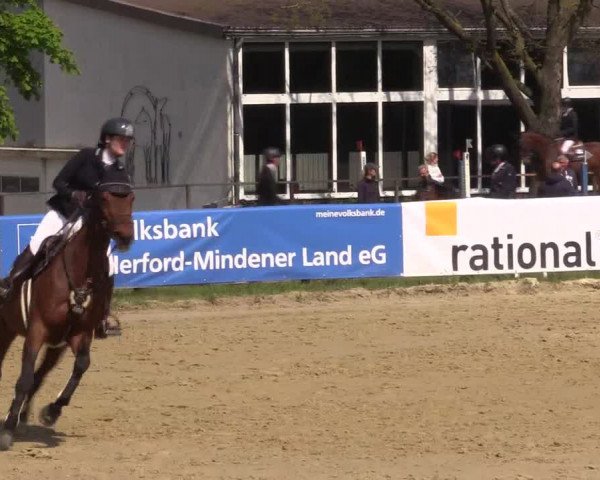 Reitturnier Spenge - Wallenbrück 2022