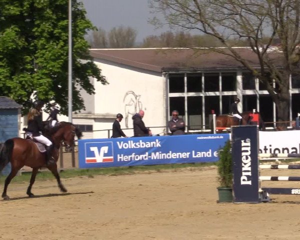 Reitturnier Spenge - Wallenbrück 2022