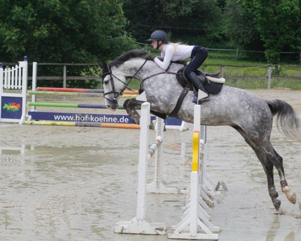 horse Cäthe Perri (Westphalian, 2011, from Capistrano 2)