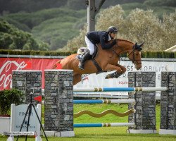 jumper Fancy Girl Semilly (Selle Français, 2015, from Diamant de Semilly)