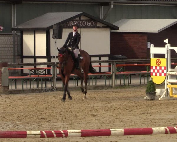 Reitturnier Kamen 2022