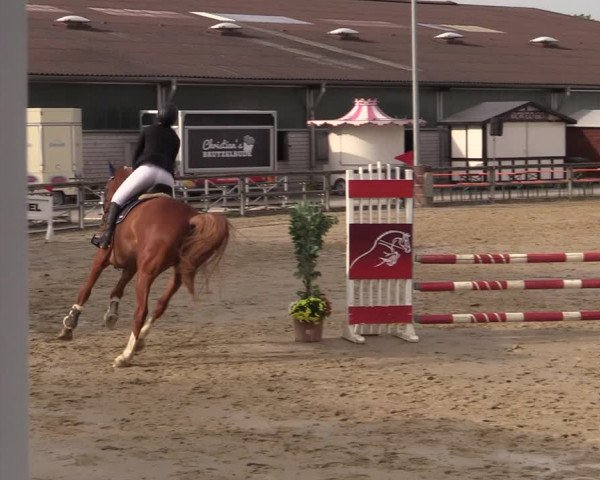 Reitturnier Kamen 2022