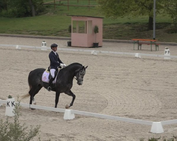 FEI Reitturnier Troisdorf (GER) 2022