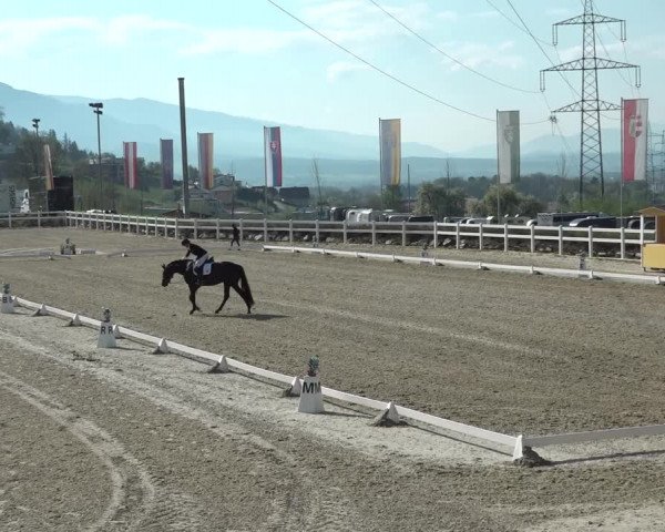 Reitturnier K, St. Margarethen-Stückler 2022