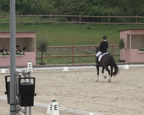 FEI Reitturnier Troisdorf (GER) 2022