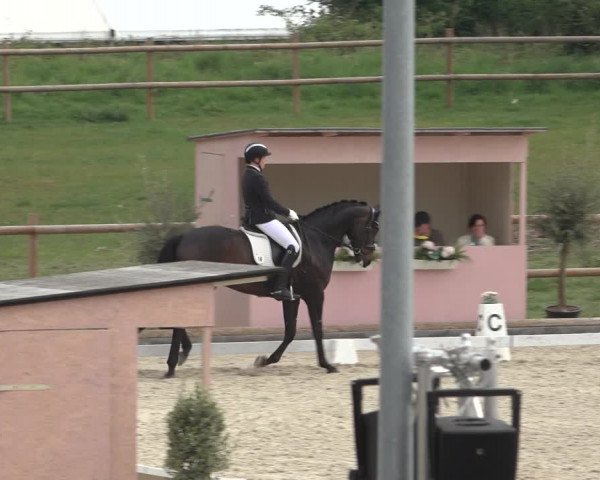 FEI Reitturnier Troisdorf (GER) 2022
