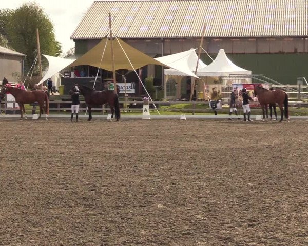 Reitturnier Kleinsolt 2022