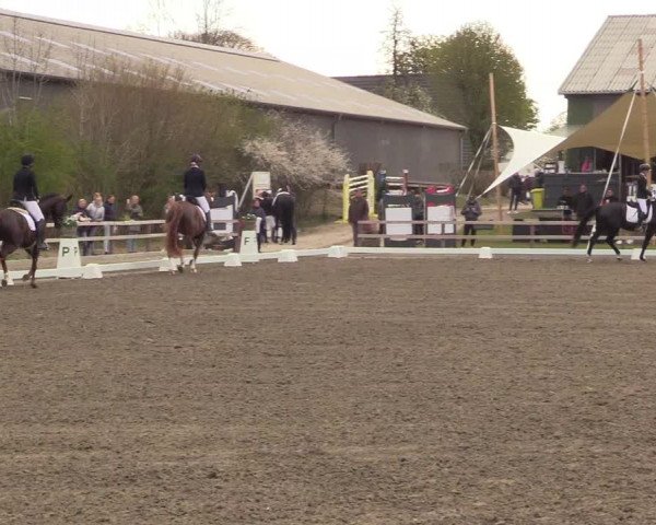 Reitturnier Kleinsolt 2022