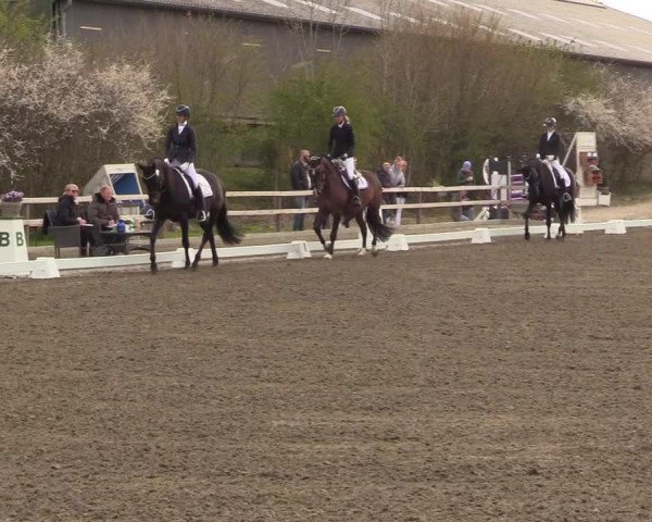 Reitturnier Kleinsolt 2022