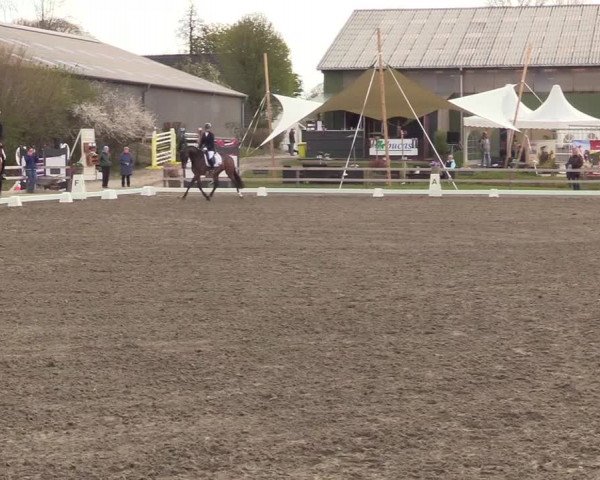 Reitturnier Kleinsolt 2022