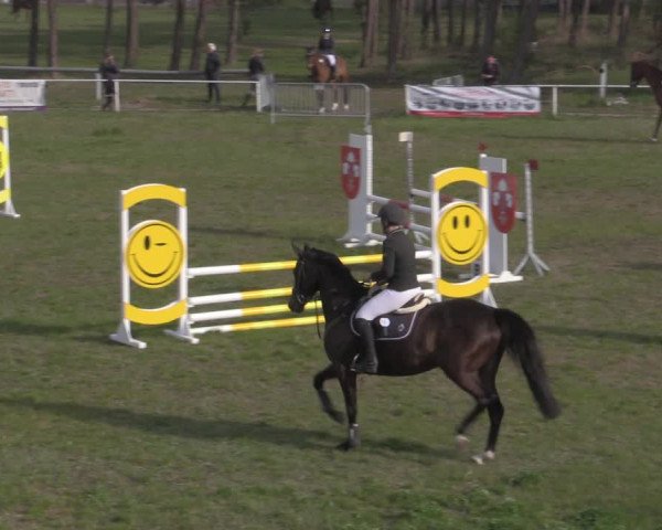 Reitturnier Colbitz 2022
