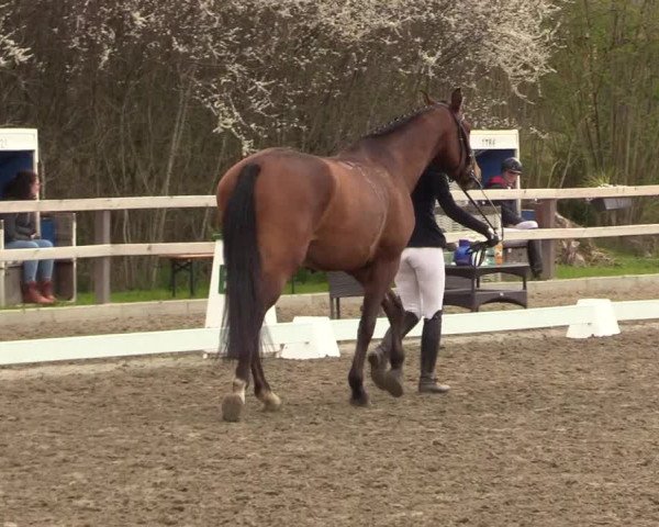 Reitturnier Kleinsolt 2022