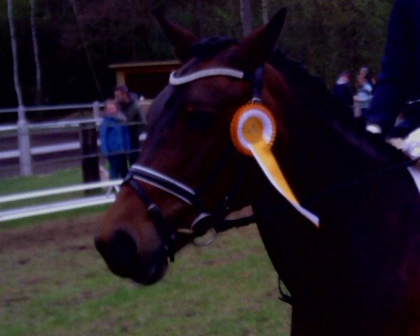 jumper Luna Lovegood 5 (Pony without race description, 2006)