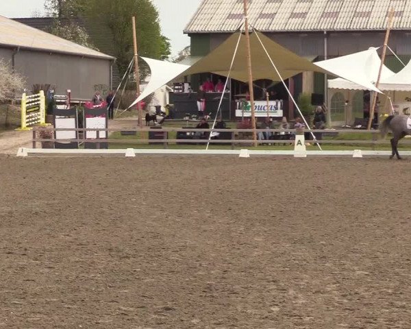 Reitturnier Kleinsolt 2022