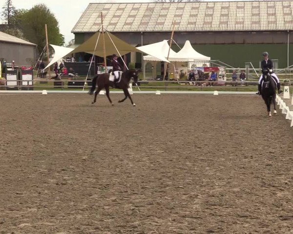 Reitturnier Kleinsolt 2022