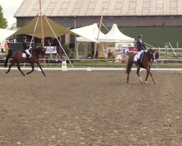 Reitturnier Kleinsolt 2022
