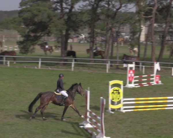 Reitturnier Colbitz 2022