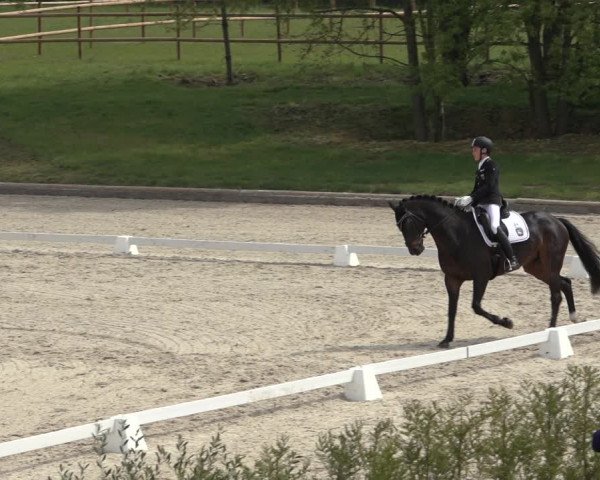 FEI Reitturnier Troisdorf (GER) 2022