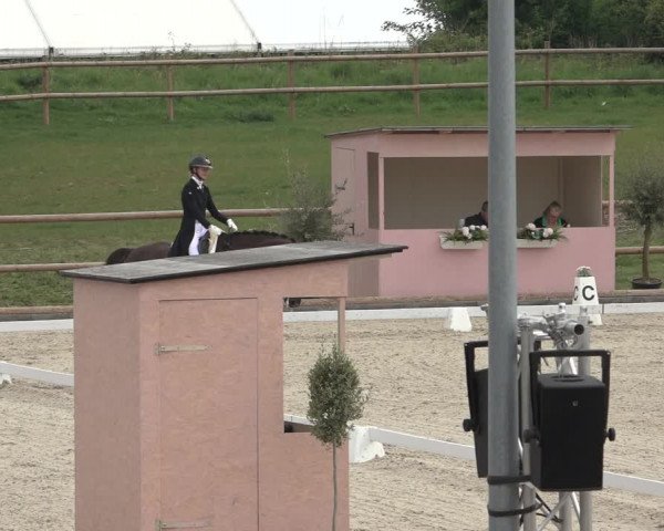 FEI Reitturnier Troisdorf (GER) 2022
