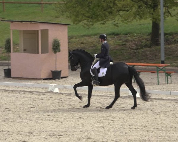 FEI Reitturnier Troisdorf (GER) 2022