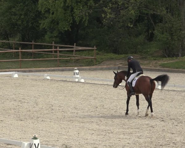 FEI Reitturnier Troisdorf (GER) 2022