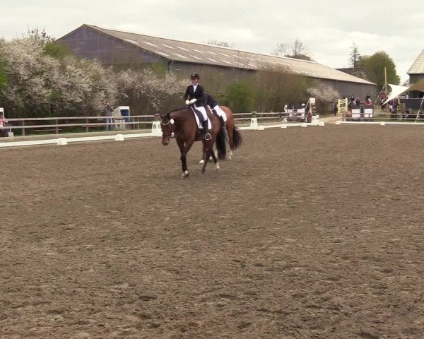 Reitturnier Kleinsolt 2022