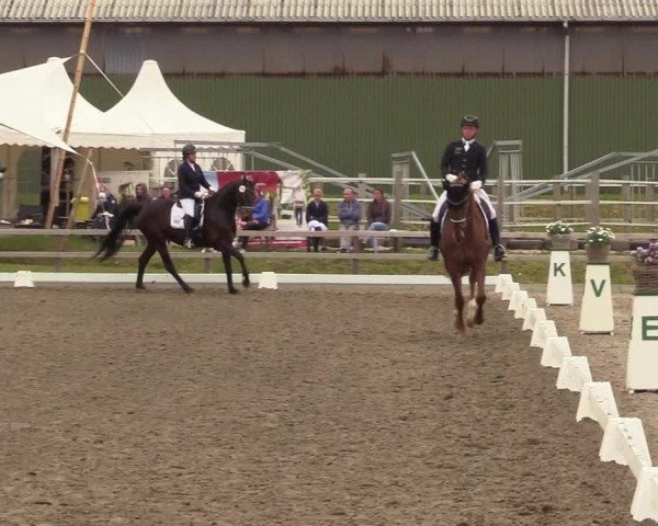Reitturnier Kleinsolt 2022