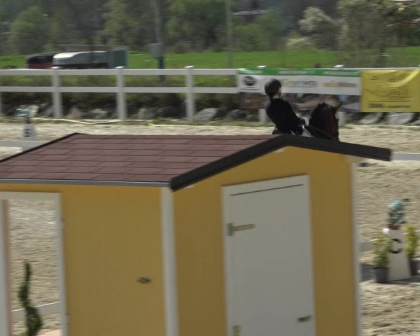 Reitturnier K, St. Margarethen-Stückler 2022