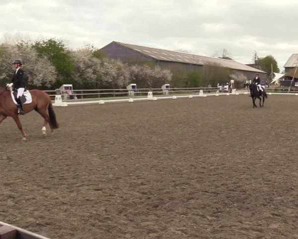 Reitturnier Kleinsolt 2022