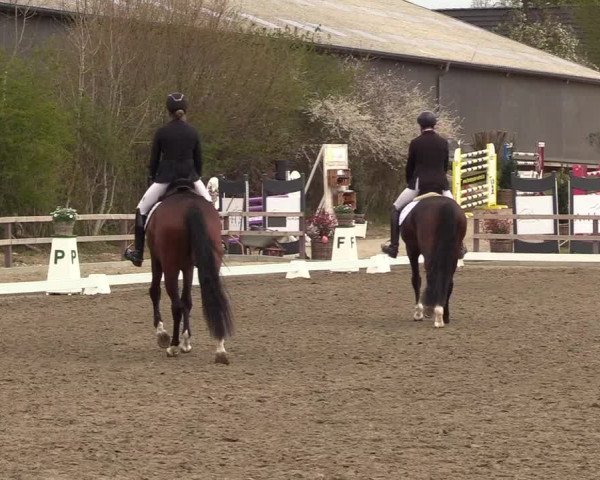 Reitturnier Kleinsolt 2022