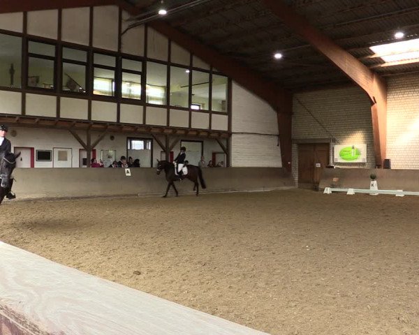 Reitturnier Kamen 2022