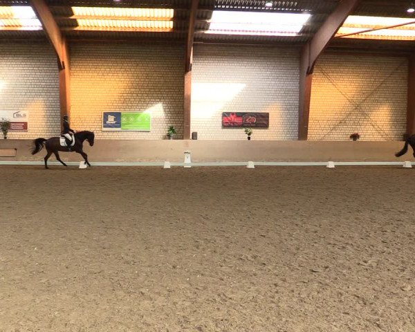 Reitturnier Kamen 2022