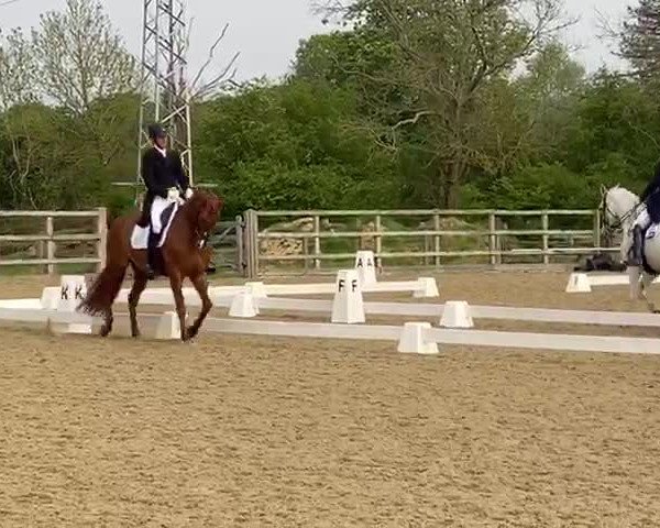 Video of Fürst Ruprecht