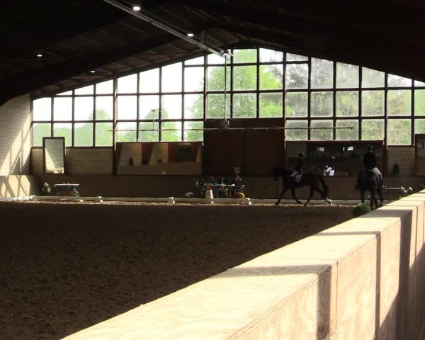 Reitturnier Kamen 2022