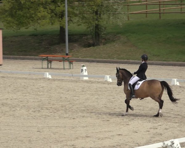 FEI Reitturnier Troisdorf (GER) 2022