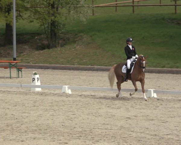 FEI Reitturnier Troisdorf (GER) 2022
