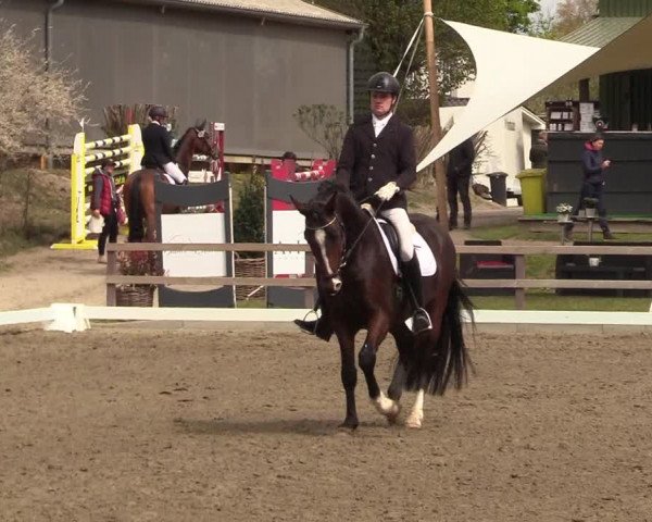Reitturnier Kleinsolt 2022