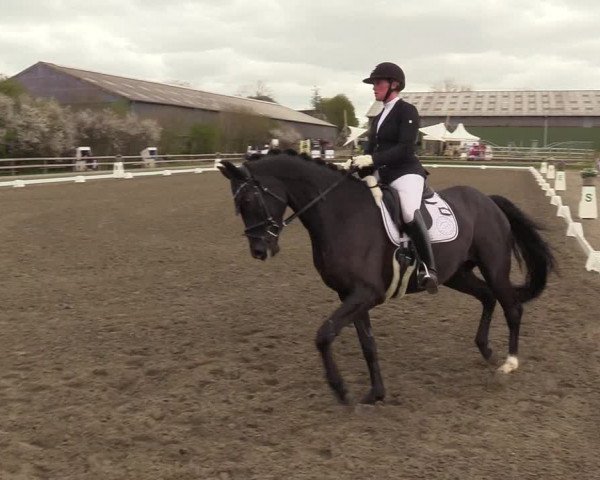 Reitturnier Kleinsolt 2022