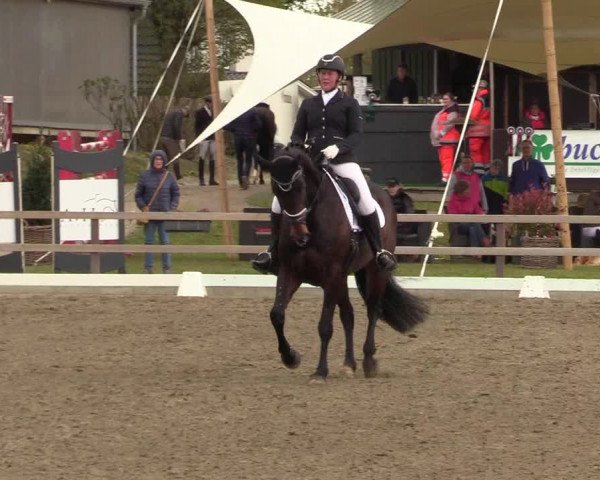 Reitturnier Kleinsolt 2022