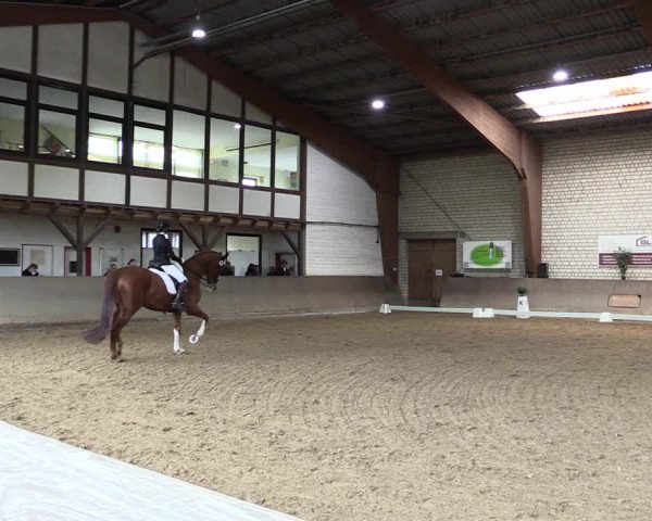 Reitturnier Kamen 2022