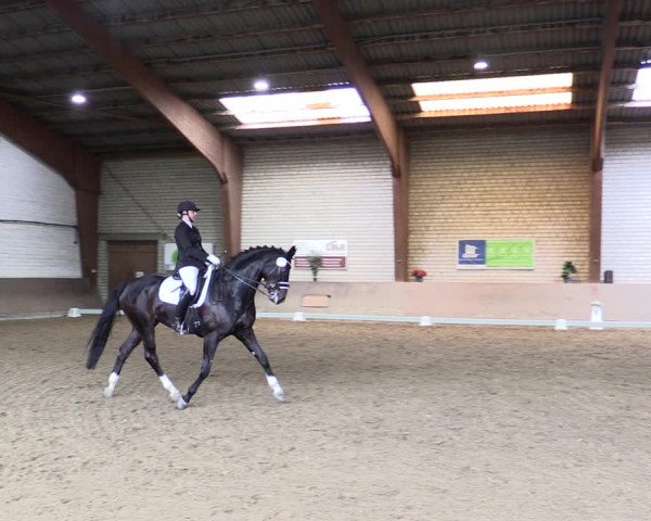 Reitturnier Kamen 2022