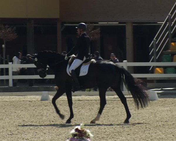 FEI Reitturnier St. Margarethen (AUT) 2022