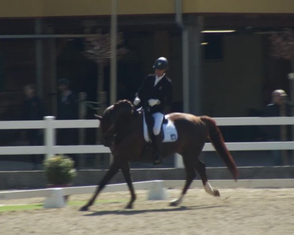 FEI Reitturnier St. Margarethen (AUT) 2022