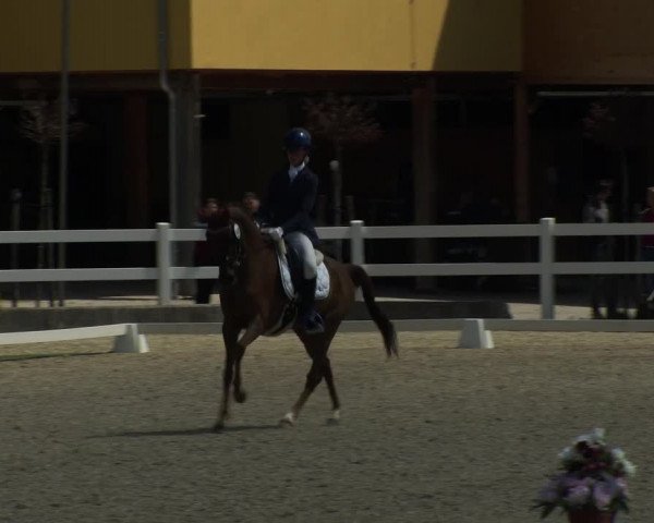FEI Reitturnier St. Margarethen (AUT) 2022