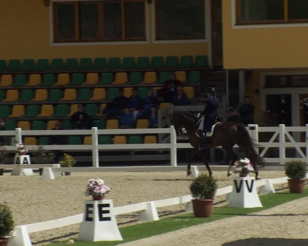 FEI Reitturnier St. Margarethen (AUT) 2022
