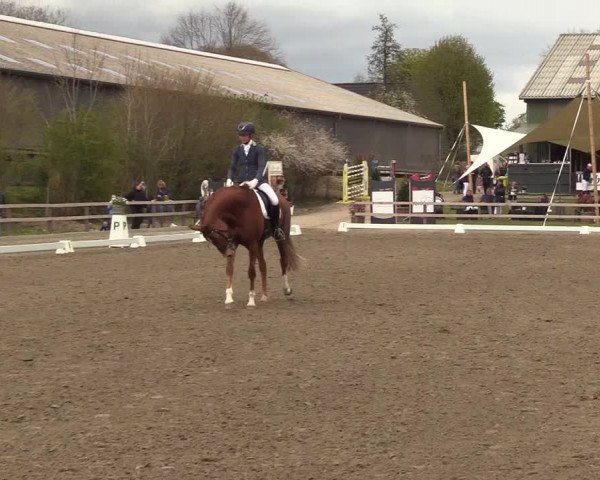 Reitturnier Kleinsolt 2022