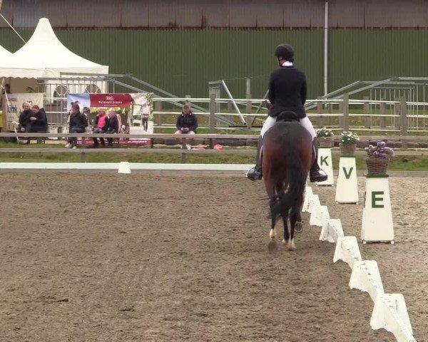 Reitturnier Kleinsolt 2022